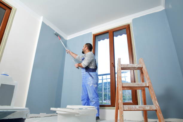 Lake Hallie, WI Dry wall and painting Company