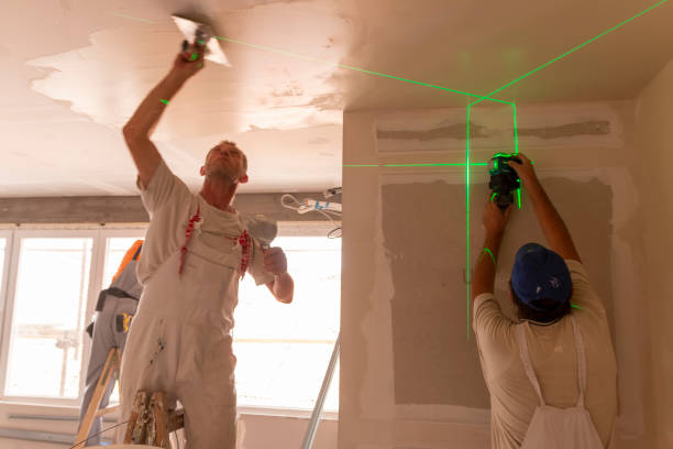 Best Drywall for New Construction  in Lake Hallie, WI