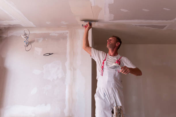 Best Drywall for New Construction  in Lake Hallie, WI